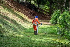 Dein Rasen, dein Meisterwerk: Wie ein Kantenschneider den Unterschied macht