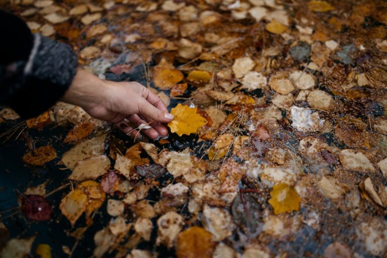 Saisonal wohnen: Warum nicht alles immer griffbereit sein muss